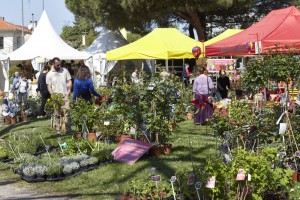 Fête des jardins 134