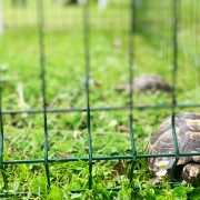 IMG_2052
